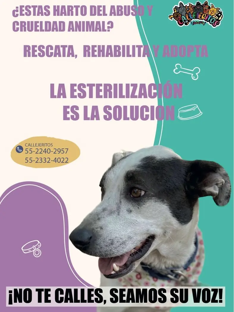 imagen de esterilización