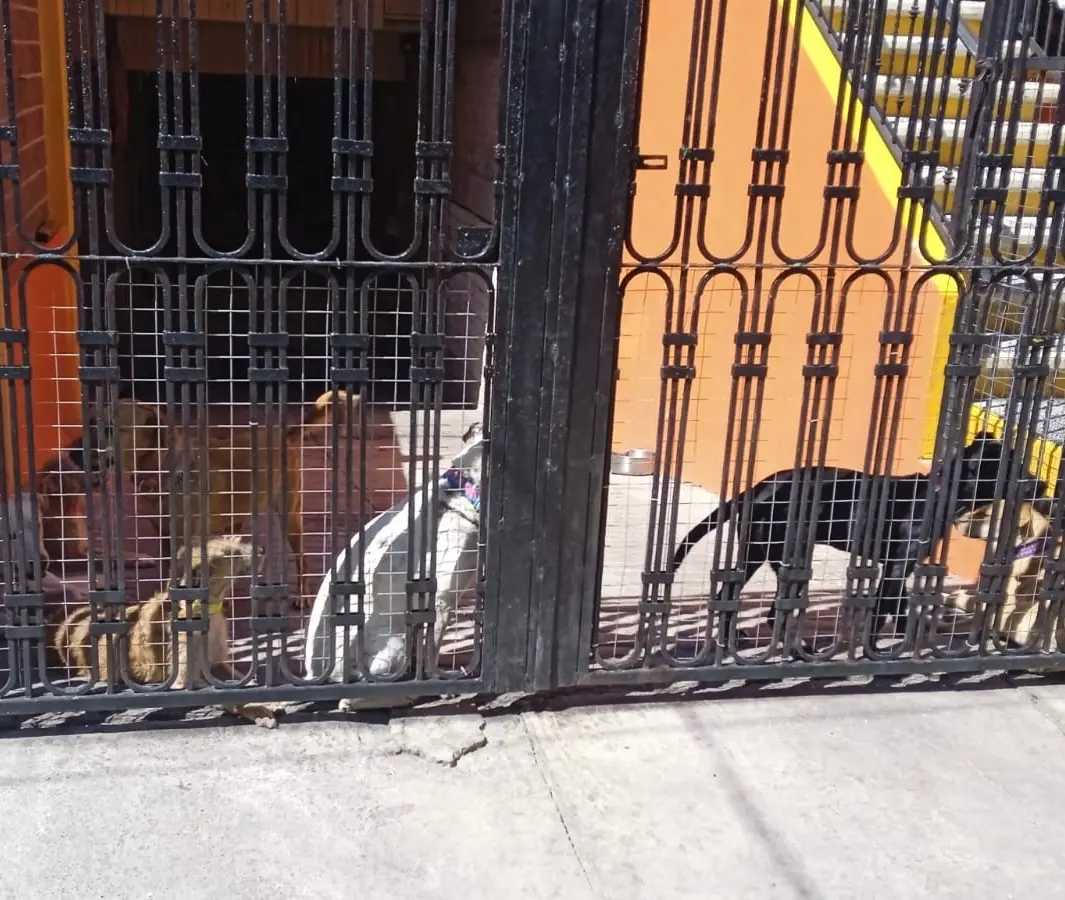 imagen-refugio