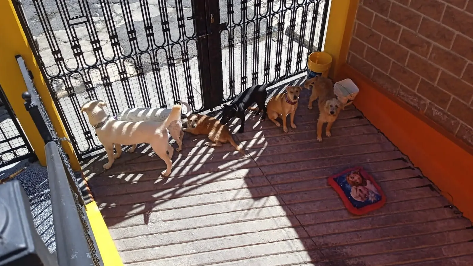 imagen-refugio