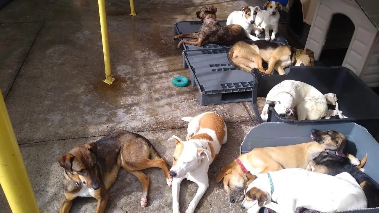 imagen-refugio